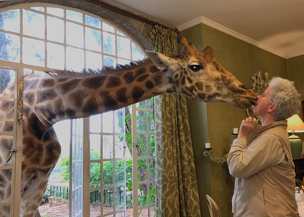 Unexpected wildlife in Nairobi, Kenya