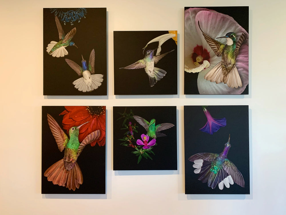 Decorating Ideas - Hummingbird House