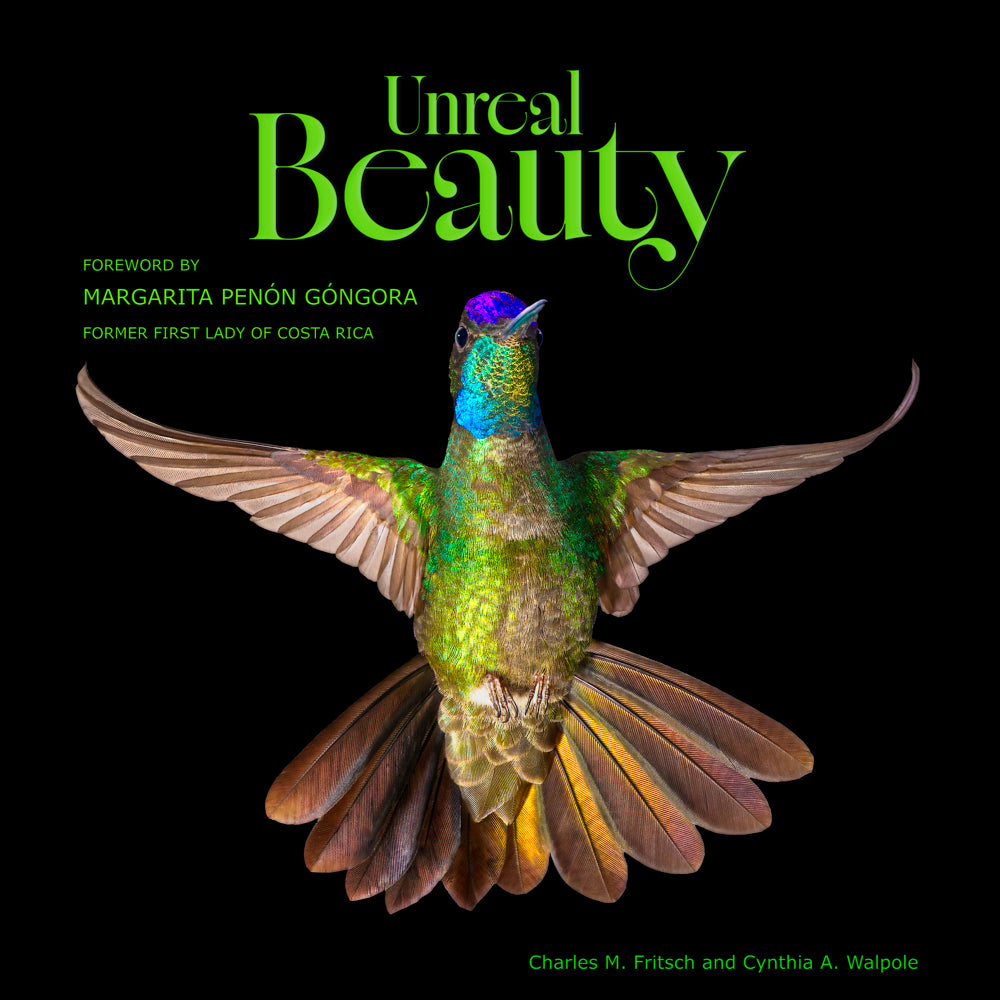 Unreal Beauty book on the Hummingbirds of Costa Rica